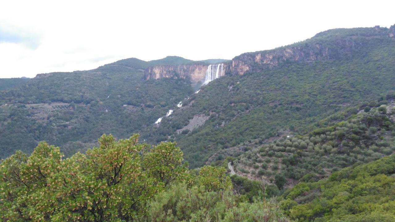 La Corte Dei Baroni Loceri Esterno foto